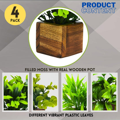 Premium Artificial Eucalyptus Plants with Wooden Pots