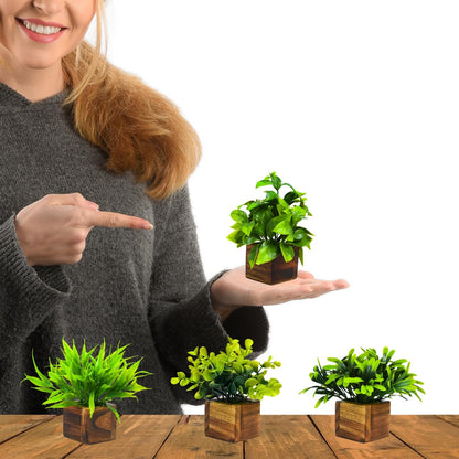 Premium Artificial Eucalyptus Plants with Wooden Pots